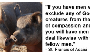 quoteStFrancis-295x180.png